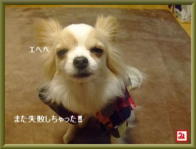 失敗!!