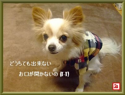 お口が開かないのU/ェ・、U クスン