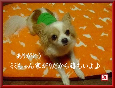 ミミちゃん気に入ったよ♪