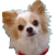 img61768d69zikczj.gif